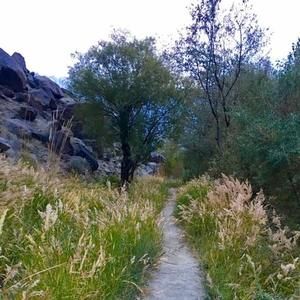 Meet your Posher, Najmus sabah